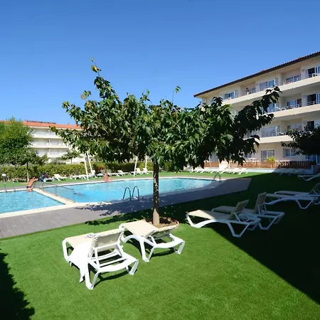 Apartment Festastar 314